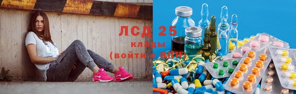 герыч Бородино