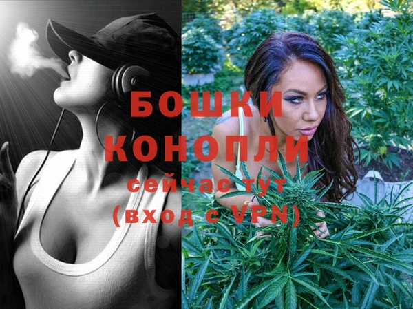твердый Бронницы