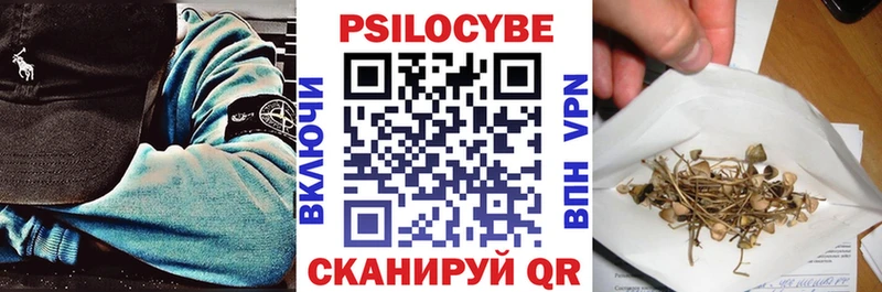 Псилоцибиновые грибы MAGIC MUSHROOMS  магазин  наркотиков  Тогучин 